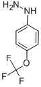 4-(TRIFLUOROMETHOXY)PHENYLHYDRAZINE HYDROCHLORIDE