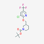 3-(3-Chloro-5-trifluoroMethyl-pyridin-2-yloxyMethyl)-piperidine-1-carboxylic acid tert-butyl ester