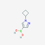 (1-Cyclobutylpyrazol-4-yl)boronic acid