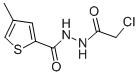 N2-(2-CHLOROACETYL)-4-METHYLTHIOPHENE-2-CARBOHYDRAZIDE
