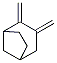 2,3-Bis(methylene)bicyclo[3.2.1]octane