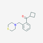 CYCLOBUTYL 2-(THIOMORPHOLINOMETHYL)PHENYL KETONE