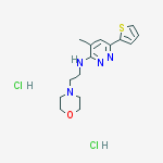 4-methyl-N-[2-(morpholin-4-yl)ethyl]-6-(thiophen-2-yl)pyridazin-3-amine dihydrochloride
