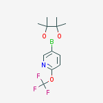 5-(4,4,5,5-Tetramethyl-1,3,2-dioxaborolan-2-yl)-2-(trifluoromethoxy)pyridine